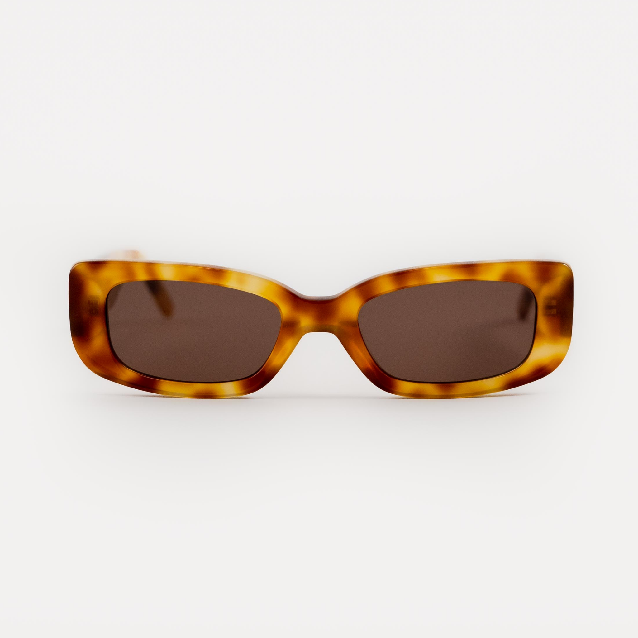 Palermo Honey Tortoise | Sunglasses